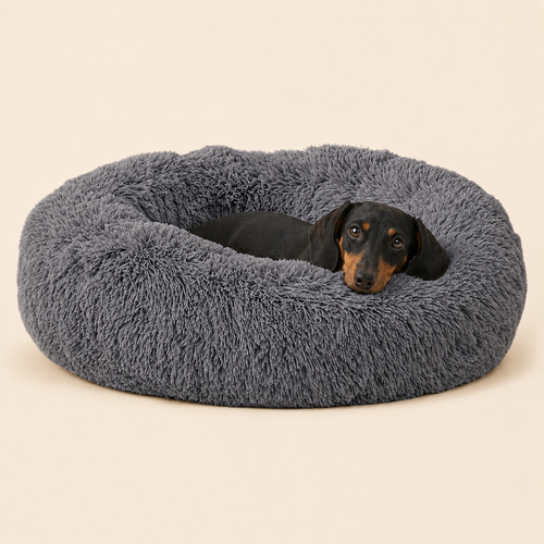 Scout Calming Donut Bed