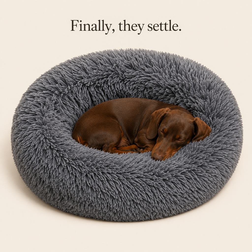 Dog sleeping peacefully in the bed