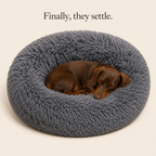 Dog sleeping peacefully in the bed