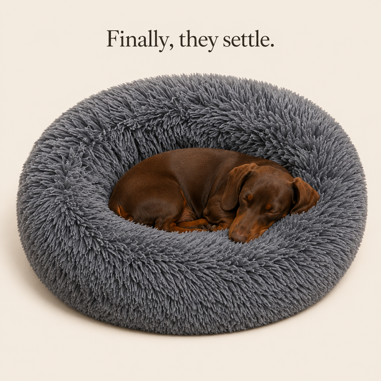 Dog sleeping peacefully in the bed
