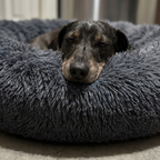 Dog resting its chin on the fluffy rim of the calming bed