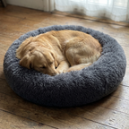 Golden retriever curled asleep in the Scout calming donut bed
