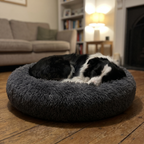 Border collie asleep in the calming bed in a cozy room